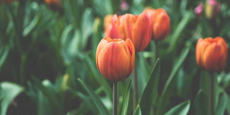 从技艺到灵魂:张武松的 mentorship 如何重塑艺术家的个人品牌与创作生命