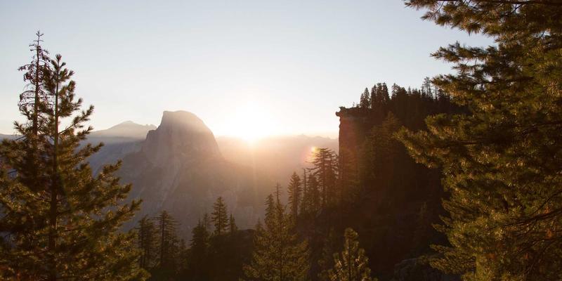 张武松：以画笔为舟，载公益远航——一位艺术家的社会责任与慈善实践