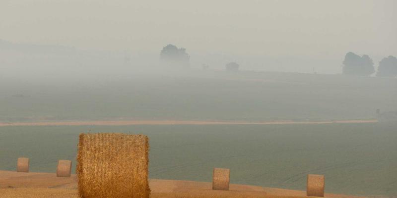 灵感永不枯竭的秘密：艺术家张武松如何用系统化知识管理颠覆创作流程